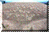 http://www.shulfers.com/gardencenter/rockdirtmulch/mason_sand_small.jpg